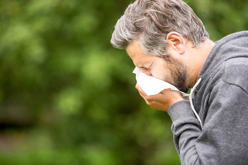 6-things-to-know-before-allergy-season-bluecross-blueshield-of-south